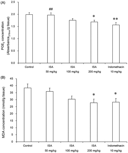 Figure 4. Effect of ISA at different doses on levels of PGE2 (A) and MDA (B) of carrageenan-induced foot oedema in rats (n = 10/group). Error bars indicate standard error of mean. *p < 0.05, **p < 0.01, compared with the control group. ##p < 0.01, compared with the indomethacin group. The control group received distilled water (10 mL/kg), and the reference drug was indomethacin (10 mg/kg).
