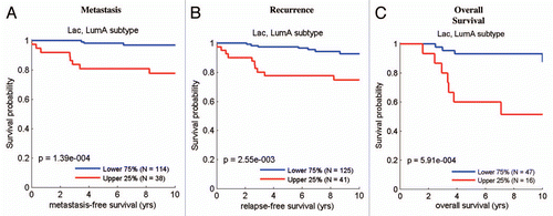 Figure 7 The lactate-induced gene signature predicts recurrence, metastasis and decreased overall survival in luminal A breast cancers. Survival curves within low and high lactate signature-expressing populations are shown within the luminal A subtype for (A) metastasis-free survival, (B) relapse-free survival and (C) overall survival. This signature contains ∼4,131 genes (See Sup. Table 1). In (C), it is important to note that overall survival data were available for a smaller number of luminal A breast cancer cases.