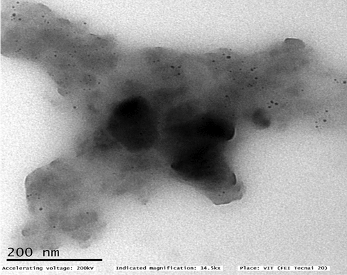 Figure 8. Transmission electron microscopy image of Biosynthesised Cu NPs.