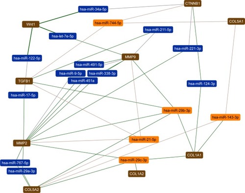 Figure 13 Network interaction of wound healing with microRNAs.