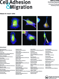 Cover image for Cell Adhesion & Migration, Volume 10, Issue 5, 2016