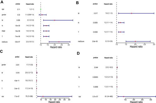 Figure 7 Univariate and multivariate analyses in The Cancer Genome Atlas (TCGA) training set and the GSE30219 validation set. (A) Univariate analysis in TCGA training set. (B) Multivariate analysis in TCGA training set. (C) Univariate analysis in the GSE30219 validation set. (D) Multivariate analysis in the GSE30219 validation set. P values less than 0.05 are considered significant.