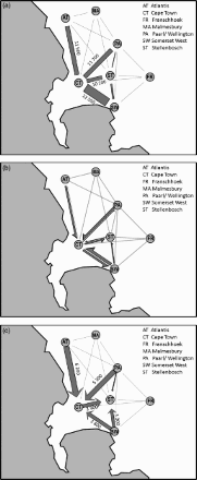 Figure 6: Morning commuting flows between Cape Town and adjacent settlements: