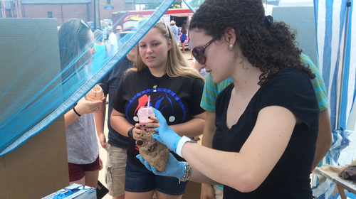 Learn how rural students in Kentucky shared their classroom knowledge by presenting on health topics and new technologies at flea markets, swap meets, and specialty events such as car shows.