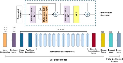Figure 2. The illustration of the backbone model of Vision Transformer in the proposed KDViT model.