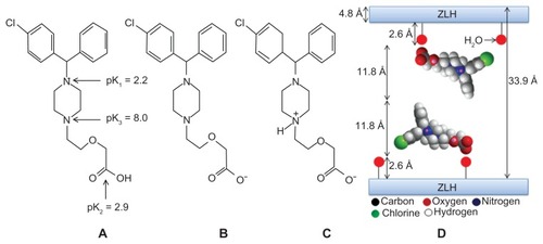 Figure 2 Structure of cetirizine at different pH (A–C) and molecular structure model of cetirizine intercalated between the interlayer of ZLH (D).Abbreviation: ZLH, zinc-layered hydroxide.