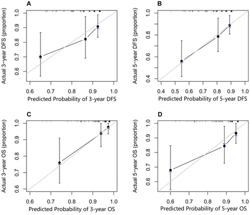 Figure 5 Calibration curves for predicting the OS and DFS for patients with triple-negative breast cancer in the validation group at (A, C) 3 years and (B, D) 5 years. Nomogram-predicted probability is plotted on the x-axis and the actual survival is plotted on the y-axis.Abbreviations: DFS, disease-free survival; OS, overall survival.