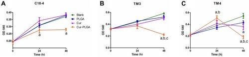 Figure 1 Effects on proliferation of testicular cell lines by Cur-PLGA-NPs treatment. Blank, untreated; PLGA, 50 μM PLGA-NPs treatment; Cur, 50 μM curcumin treatment; Cur-PLGA, 50 μM Cur-PLGA-NPs treatment. (A) Effects on proliferation of C18-4 spermatogonia cell line by 50 μM curcumin or Cur-PLGA-NPs treatment for continuous 48 h. (B) Effects on proliferation of TM3 Leydig cell line by 50 μM curcumin or Cur-PLGA-NPs treatment for continuous 48 h. (C) Effects on proliferation of TM4 Sertoli cell line by 50 μM curcumin or Cur-PLGA-NPs treatment for continuous 48 h. a, P<0.05 when compared to Blank control. b, P<0.05 when compared to PLGA-NPs vehicle control. c, P<0.05 when compared to uncapsuled Curcumin group.