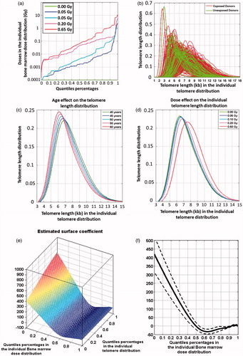 Figure 5. Mean telomere length as a function of age and the mean dose received by the bone marrow. (a) Examples of dose-distribution quantile functions after radiotherapy for skin hemangioma (mean doses in legend). (b) Distribution of intra-individual telomere length in all donors of the FHC biobank (red = exposed donors, green = non-exposed donors). (c) Predicted telomere length distribution for unexposed individuals of various ages using model 2. (d) Telomere length distribution at 50 years of age as a function of the mean dose received. (e) Correlation of telomere and dose quantile distribution (red indicates an increase in the frequency of larger telomeres; blue indicates an increase in the frequency of shorter telomeres). (f) Dose effect as a projection of the surface coefficient (model 3).