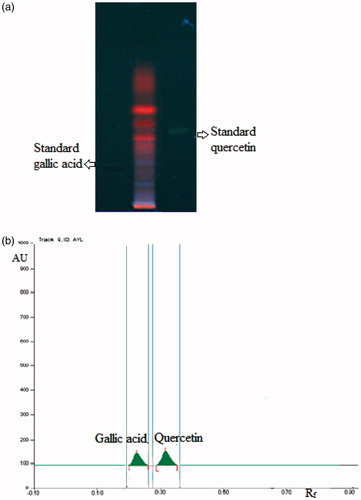 Figure 1. (a) HPTLC profile of CVE under UV 366 nm. (b) HPTLC chromatogram of CVE at a scan wavelength of 278 nm.