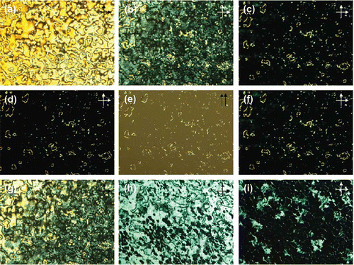 Figure 8. POM photomicrographs: LC 1 with 2 wt% Au2 (from Figure 2) from cooling at: (a) 64.0, (b) 61.0, (c) 58.9 and (d) 56.0°C with crossed polarisers, and at (e) 56.0°C with parallel polarisers (lower light intensity). The same area observed on heating at (f) 59.0 and (g) 62.0°C. LC 1 with 1 wt % Au2 from cooling at (h) 49.8 and (i) 48.5°C (white or black arrows indicate polariser and analyser position). Reproduced with permission from Qi and Hegmann (Citation 14 ).