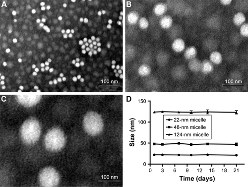 Figure S2 TEM micrograph of the 22 nm micelle (A), 48 nm micelle (B) and 124 nm micelle (C). Size changes of different micelles (D).Abbreviation: TEM, transmission electron microscope.