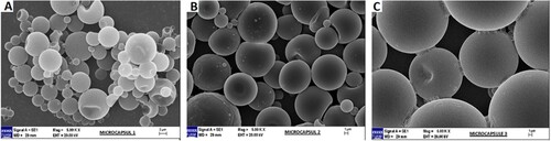 Figure 14. SEM images of microcapsules at 500 X magnification and different mixing speeds (A: 9000 rpm, B: 6000 rpm, C: 3000 rpm).