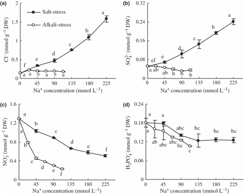 Figure 5 Effects of salt and alkali stresses on the contents of (a) Cl−, (b) SO42−, (c) NO3− and (d) H2PO4− in the wheat shoots. Salt stress: NaCl : Na2SO4 = 1:1, pH 6.6–6.95; alkali stress: NaHCO3 : Na2CO3 = 1:1, pH 9.77–9.96. The values are the means of five replicates. Means followed by different letters in the same curve are significantly different at P ≤ 0.05 according to least significant difference test. DW, dry weight.