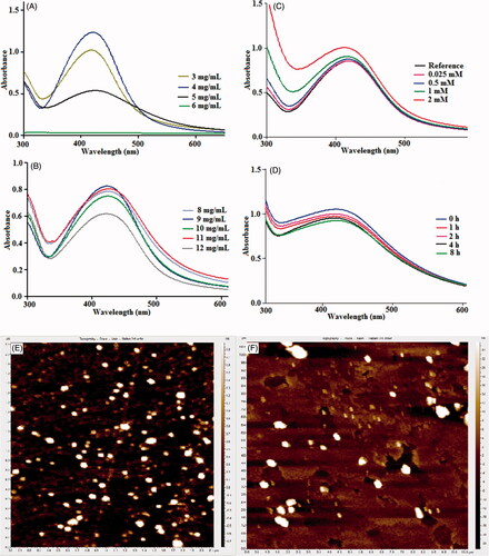 Figure 1. UV–visible spectra showing effect of (A) GA concentration and (B) AgNO3 concentration on the synthesis of GA-AgNPs, (C) and (D) show stability studies of GA-AgNPs against salt and plasma, respectively, while (E) and (F) shows AFM images of GA-AgNPs and GA-AgNPs-HP, respectively.