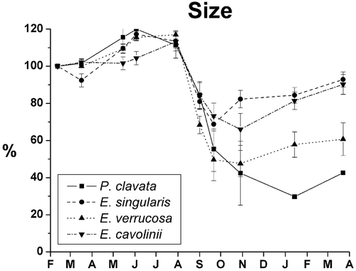 Figure 4 Size trend of the four species in term of relative heights during the annual cycle.