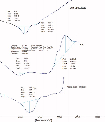 Figure 3. DSC spectra of amoxicillin trihydrate, c. pulcherrima galactomannan (cpg), chitosan-coated amoxicillin-loaded C. pulcherrima galactomannan and sodium alginate beads (CCA-CPG-A beads).