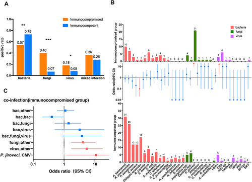 Figure 4 Microbiological etiologies differ between immunocompetent and immunocompromised patients. (A) Distribution differences in microbial etiology. * P value < 0.05; ** P value < 0.01; *** P value < 0.001. (B) Pathogen spectrum in immunocompromised and immunocompetent individuals. Red symbols and error bars indicate pathogens that were significantly overrepresent (P<0.05) in immunocompromised (above the grid lines) or immunocompetent groups (below the grid lines). (C) Co-infections in immunocompromised groups. The square symbols represent odds ratio, and the horizontal lines represent the 95% confidence interval. The proportions of these mixed infection types were significantly higher (red symbols and error bars, P<0.05) in immunocompromised (right side of grid lines) or immunocompetent groups (left side of grid lines).