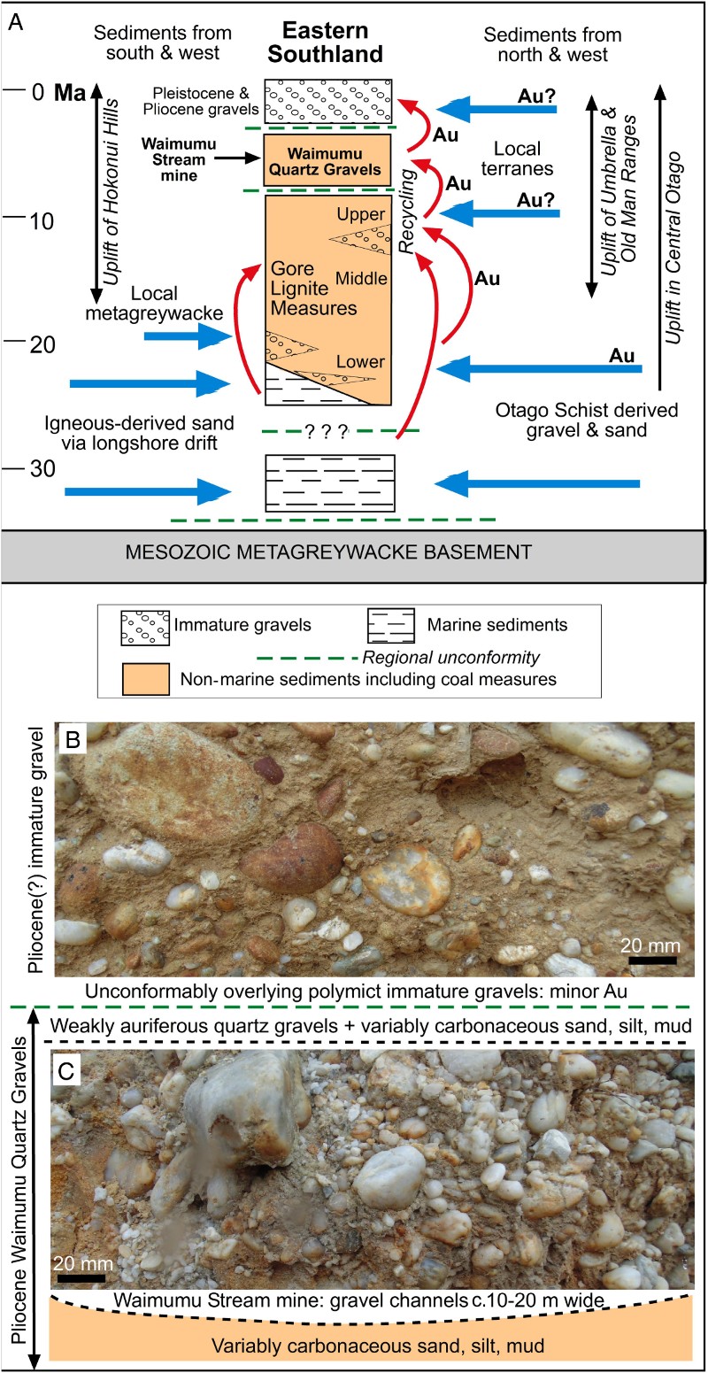 Figure 3 Stratigraphic and sedimentological setting for the Waimumu Stream mine in the Waimumu Quartz Gravels. A, Summary stratigraphic column, with indications of sediment transport directions (partly after Isaac & Lindqvist Citation1990; Stein et al. Citation2011). B, Photograph of polymict gravels that overlie the mine gravels. C, Gold-bearing Waimumu Quartz Gravels in a channel at the mine.