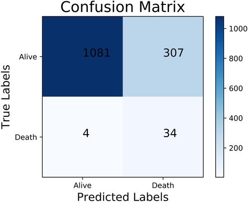 Figure 5 The confusion matrix of the SVM trained with RUS using the simplified set.