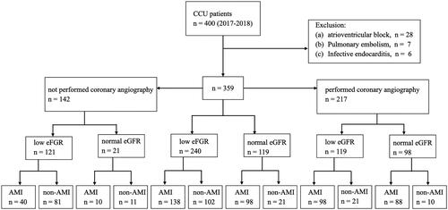 Figure 1. Enrollment flowchart and patient status. Low eGFR was defined as eGFR < 60 mL/min/1.73m2 and normal eGFR was defined as eGFR ≥ 60 mL/min/1.73m2. Abbreviations: CCU, cardiac care unit; eGFR, estimated glomerular filtration rate; AMI, acute myocardial infarction.