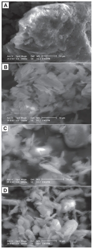 Figure 5 Scanning electron microscopy micrographs of the talc (A) and silver-talc nanocomposites at different AgNO3 concentrations [(A2) 1.0% (B), (A4) 2.0% (C), and (A5) 5.0% (D)].