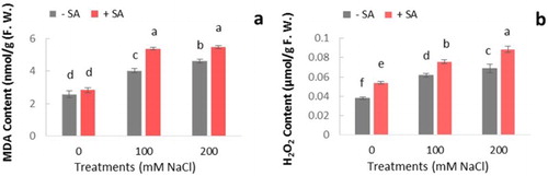 Figure 3. Effect of salinity (0, 100, and 200 mM NaCl) and exogenous application of SA on content of (a) MDA and (b) H2O2 in leaves of safflower plants at 21 days after treatments. The groups are −SA (plants with no SA treatment) and +SA (plants sprayed with 1 mM sodium salicylate three times a week for every other day). Columns indicate mean ± SE based on three replicates. Means with different letters indicate a significant difference at P ≤ .05 using Duncan multiple range test.