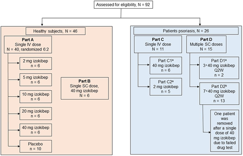 Figure 3. Design of the first-in-human study with izokibep and exposure. amoderate-to-severe psoriasis (PASI≥12). ball severities, moderate-to-severe and mild-to-moderate psoriasis (PASI≥12 and PASI<12).