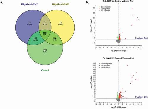 Figure 2. Global proteomic profiling. (A) Venn diagram showing the number and percentages of proteins identified in the control and 100 µM of c-di-AMP and c-di-GMP treated fibroblasts. Proteins in the subsets of the Venn diagram are listed in Table S1. (B) Volcano plots of quantified proteins in each treatment group versus controls. Horizontal blue line represents the Log10 (p value) cutoff. Volcano plots of c-di-AMP and c-di-GMP treatments showed significantly upregulated proteins (red dots) and downregulated proteins (green dots) in both treatment conditions. Volcano plots were plotted using the Origin (Pro), Version 2020 software (OriginLab Corporation, Northampton, MA).