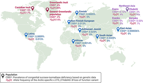Figure 3 Prevalence of CSID and allele frequencies of the c.273_274delAG SI variant across populations. The prevalence of congenital sucrase-isomaltase deficiency estimated based on expected numbers of homozygous carriers (CSID*) of 1) the Arctic-specific SI c.273_274delAG loss-of-function (LoF) variant in Canadian Inuit (red), Greenlanders (red), and Northeast Asians (purple)Citation18,Citation28,Citation29 or 2) pathogenic, likely pathogenic, or predicted LoF variants in GnomAD populations (blue).Citation26 The allele frequency of the Arctic-specific SI c.273_274delAG LoF variant for each population is indicated with Display full size .Citation18,Citation27–29 Created with BioRender.com.