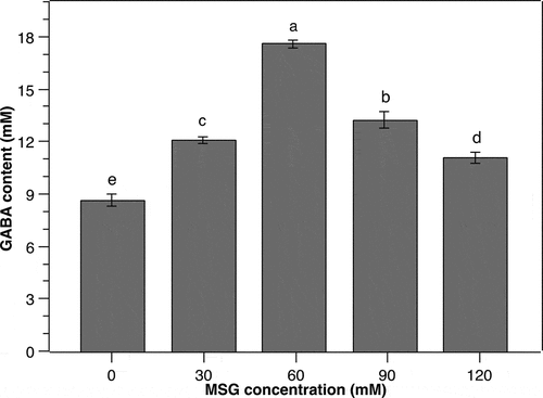 Figure 3. Effect of monosodium glutamate (MSG) concentration on the GABA production of P. pentosaceus MN12. Cells were grown in MRS broth with initial cell density of 5.106 CFU/mL at 37°C for 24 h. Concentration of GABA in culture supernatants were quantified by an HPLC method. Data are means ± SD of GABA production from triplicate experiments. Bars without a common letter differ significantly (P < 0.05)