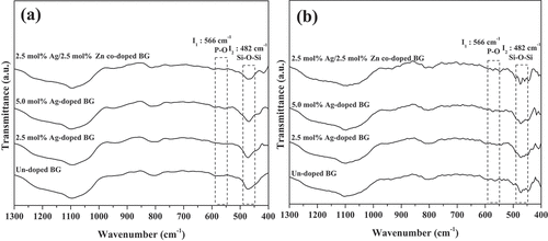 Figure 10. FTIR spectra of un-doped, 2.5 mol% Ag-doped, 5.0 mol% Ag-doped, and 2.5 mol% Ag/2.5 mol% Zn co-doped BG specimens (a) before and (b) after SBF immersion for 7 d.