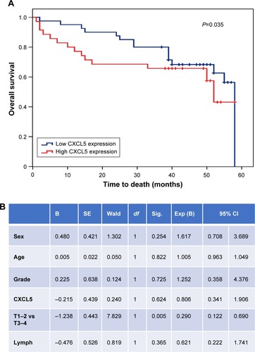 Figure 3 Prognostic value of CXCL5 in adenocarcinoma.