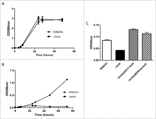 Figure 1. Growth of B. pseudomallei wild type, ΔtreA mutant or complemented mutants in M9 medium containing 0.4% glucose with agitation (A) or 0.4% trehalose with agitation (B). The ability of complemented mutants (ΔtreA/pBHR-nattreA and ΔtreA/pDA17-treA) to grow in M9 medium containing 0.4% trehalose, in a static 96 well plate format, was recorded after 48 hours (C). Values represent the mean from one experiment performed in triplicate. Error bars show standard error of the mean (SEM).