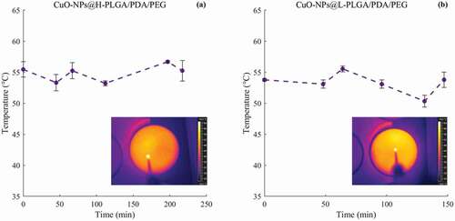 Figure 6. Temperature measurements of coated nanospheres in response to 808 nm laser irradiation over time. (a) Temperature experienced by CuO-NPs@H-PLGA/PDA/PEG samples in saline media, (b) Temperature experienced by CuO-NPs@L-PLGA/PDA/PEG samples in saline media. The corresponding thermal maps obtained for the last frame for the two cases are also depicted
