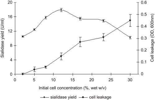 Figure 3.  Effect of initial cell concentration on sialidase yield and cell leakage of gel.