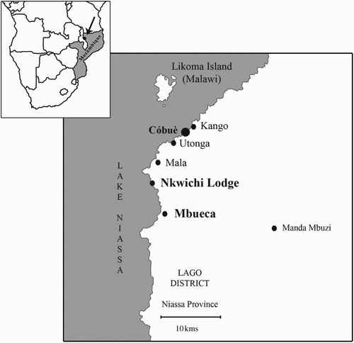 Figure 1. Location of Mbueca. Diagram by the author.