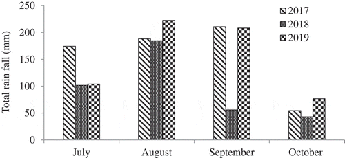 Figure 1. Cumulative rainfall from planting to harvest maturity during the three crop seasons at Debre Zeit Agricultural Research Center.