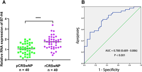 Figure 3 Comparison of tissue B7-H4 mRNA levels between two. (A) Tissue B7-H4 expression levels were higher in the rCRSwNP group than the pCRSwNP group. (B) ROC curve analysis of tissue B7-H4 in predicting CRSwNP recurrence. ****P < 0.0001.