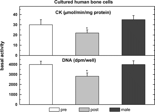 Figure 1. Basal levels of DNA synthesis and CK specific activity in pre-menopausal (pre), in post-menopausal human osteoblasts (post) and male human cultured bone cells.