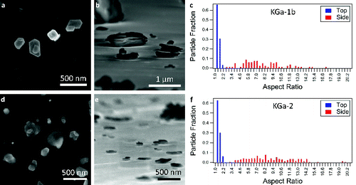FIG. 2. SEM images of KGa-1b (kaolinite) in the (a) top-down and (b) side-on orientations. (c) The distribution of aspect ratios determined for KGa-1b in the two orientations. (d) SEM images of KGa-2 (kaolinite) in the top-down and (e) side-on orientations. (f) The distribution of aspect ratios for KGa-2. The tick marks in (c) and (f) denote the bin to the left of the number.