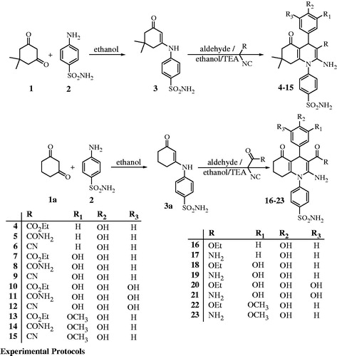 Scheme 1. Synthesis of the target tetrahydroquinoline derivatives 16–23.