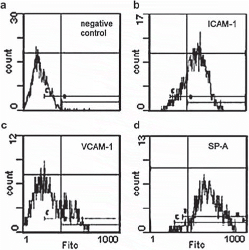 Figure 3. Representative flow cytometry histograms depicting negative controls (a, unspecific binding of FITC-conjugated secondary antibody) and constitutive expression of intercellular adhesion molecule (ICAM)-1 (b), vascular adhesion molecule (VCAM)-1 (c), and surfactant protein (SP)-A (d) in resting MCs.