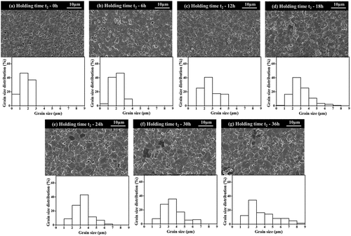 Figure 7. FE-SEM micrographs and grain size distribution of the BNT–ST ceramics after two-step sintering at various t2: (a) 0 h, (b) 6 h, (c) 12 h, (d) 18 h, (e) 24 h, (f) 30 h, and (g) 36 h.