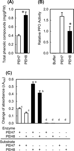 Fig. 2. Comparison of phenolic compounds and PPO activity between Okayama PEH7 and Okayama PEH8.