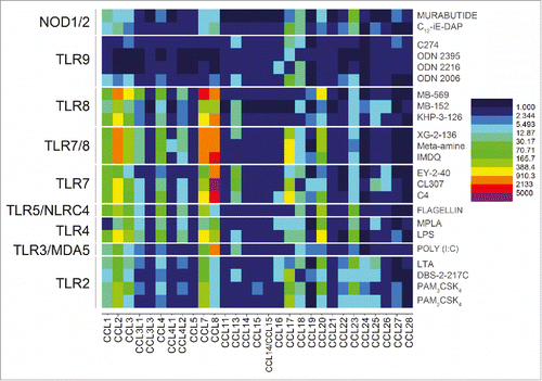 Figure 3. Transcriptomal ‘signatures’ of innate immune stimulation in CC chemokines. A heat map of fold change (means of duplicate samples, EDGE test validated) indicated that many of the TLRs and NLRs upregulated the CC chemokines 1, 2, 3, 4, 7, 8, 17, 18, 20, and 23.