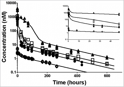 Figure 2. Individual plasma total anti-ASGPR antibody concentrations over time and model prediction in mice after IV bolus dosing. Markers present individual measurements for 1 mg/kg (◊), 5 mg/kg (•), 10 mg/kg (□) and 30 mg/kg (▴). Lines represent the developed model predicted values for the tested doses. The inset represents a detailed zoom-in of the data and predictions from 0 to 48 hours. The model parameters used for simulations are presented in Table 1.