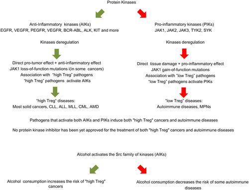 Figure 1 A summary diagram of the protein kinase binary classification model and the related findings.