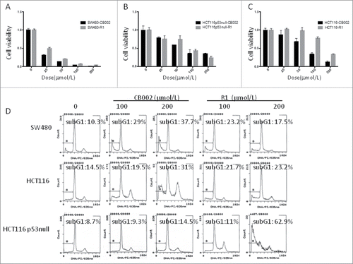 Figure 4. CB002 and R1 induce cell death in colorectal cancer cells. A. Cell viability of SW480 cells treated with CB002 and R1 at 72 hours. B. Cell viability of HCT116 p53-null cells treated with CB002 and R1 at 72 hours. C. Cell viability of HCT116 cells treated with CB002 and R1 at 72 hours. D. Cell cycle profiles of cancer cells SW480, HCT116 and HCT116 p53-null cells. Cells were treated with CB002 and R1 for 72 hrs. Cell viability (A, B, and C) was normalized to DMSO as control. Data are expressed as mean ± SD.