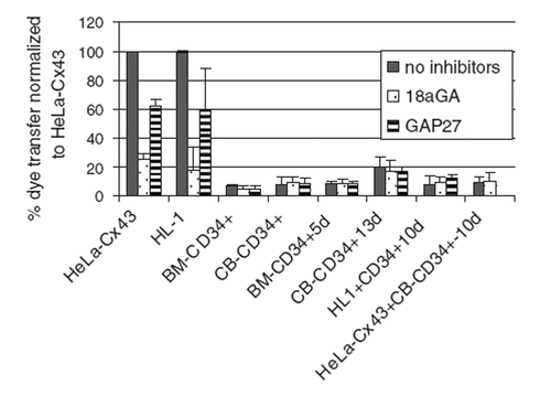 Figure 3. Bar chart summarizing the effects of gap junction inhibitors on dye transfer determined by fluorescence-activated cells sorting. Note that the low dye transfer detected in cells cultured for 5, 10, or 13 days was not inhibited by treatment with 18GA or Gap 27. Similar data showing the very low dye transfer between CD34+ cells was also obtained using Gap 26 (data not shown).
